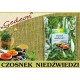 Czosnek Niedźwiedzi 15g