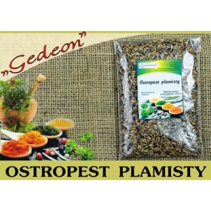 OSTROPEST PLAMISTY 160g. kraj pochodzenia: Polska