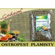 OSTROPEST PLAMISTY 160g. kraj pochodzenia: Hiszpania